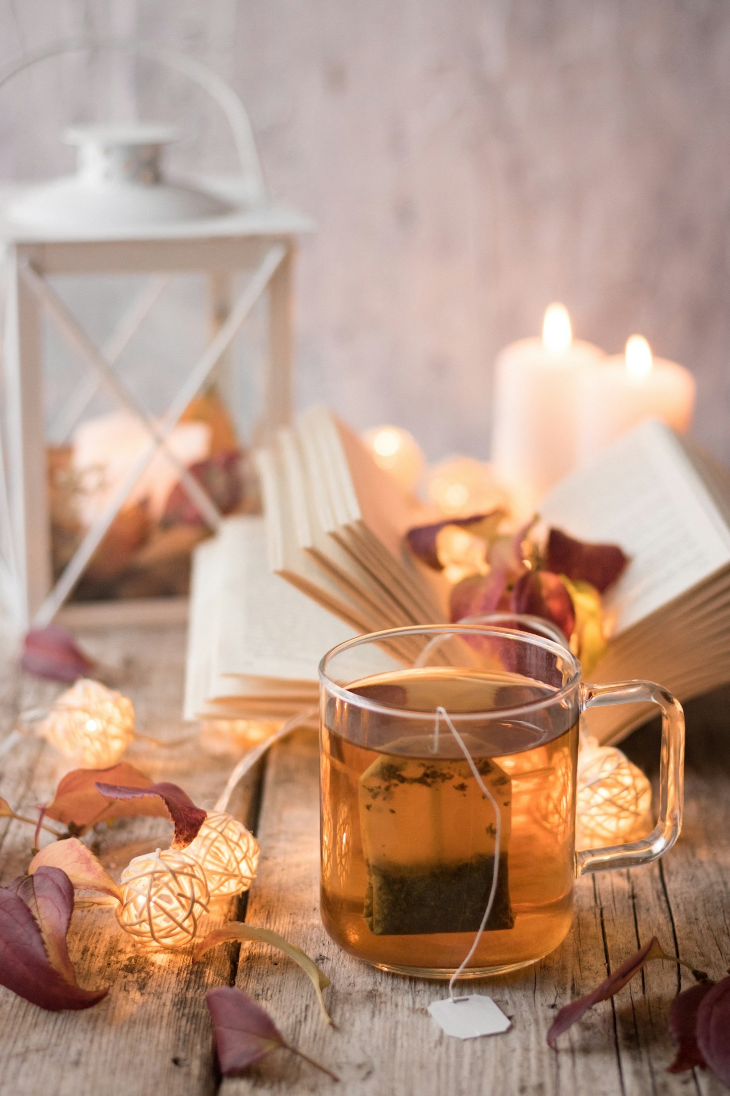 Hành trình chăm sóc sức khỏe qua từng tách trà